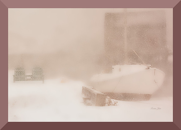 Blizzard and Boat DSC_8411
