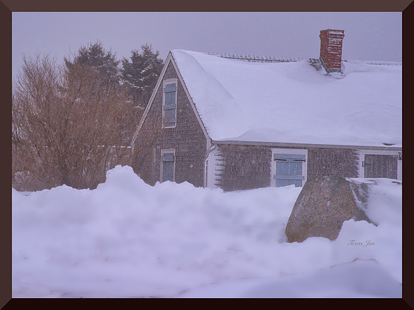 Blizzard DSC_8414