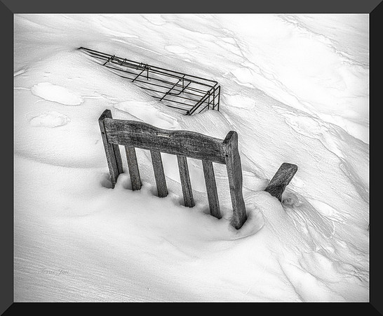Buried Chair DSC_8448