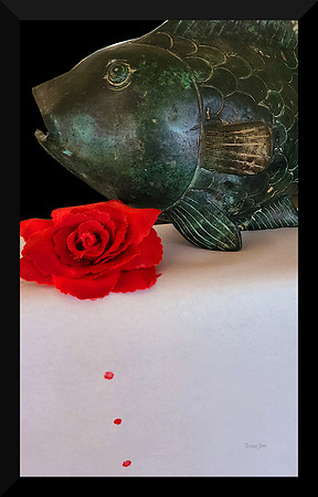 Fish and Rose