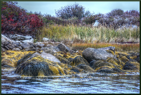 Coastline for web DSC_5123
