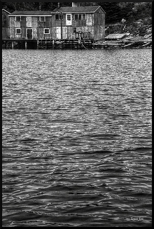 Last of the Past - Fishing Stages Lower Prospect for web DSC_5138