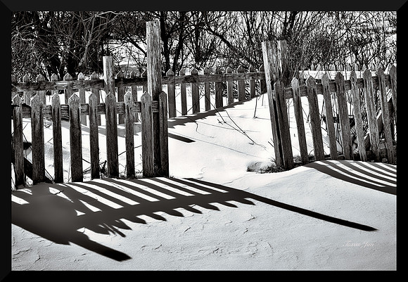 Shadows on the Snow DSC_8513