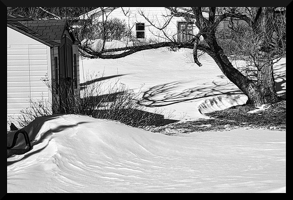 Snowy Shapes and Shadows DSC_8526