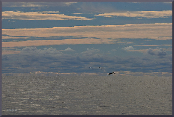 Endless Journey for web DSC_5244