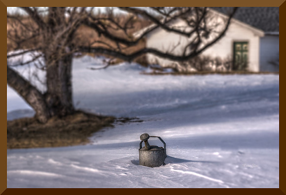 Watering Can DSC_8542
