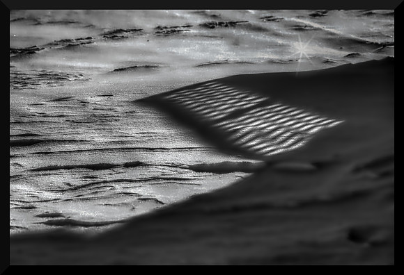 Last of the  Light DSC_8536