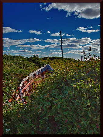 Gently into that Good Night DSC_5384
