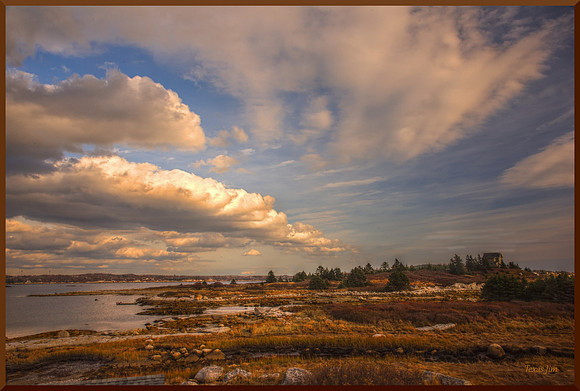 Late Autumn in the Back Bay DSC_5656