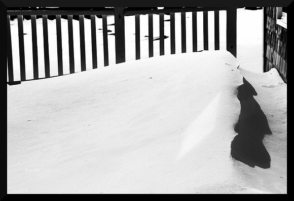 Back Porch in Late Winter DSC_8521