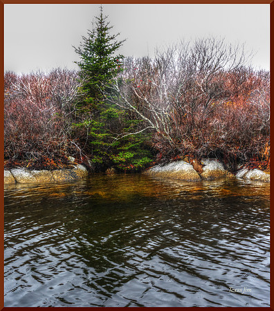 Christmas At the End of the World