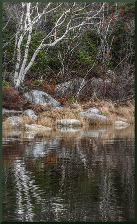 Back Bay Reflection DSC_5681