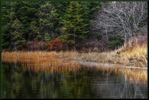 Barachois for web DSC_5685