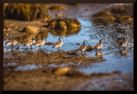 Chorus Line for web DSC_8464