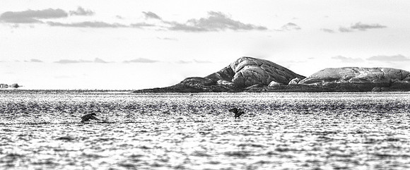 Between Sky and Sea DSC_5859