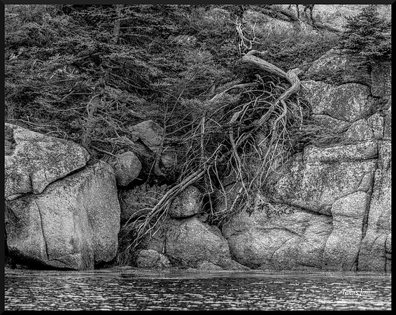 Across a Minor Divide DSC_5948