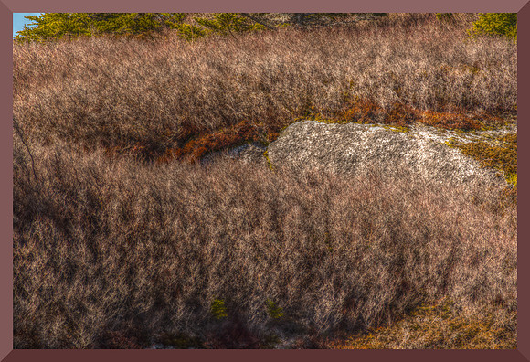 Brush and Granite for web DSC_8593