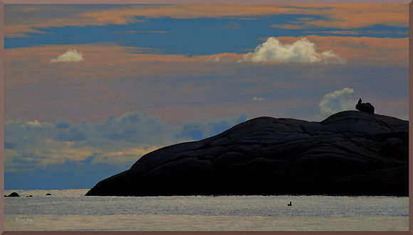 Best Seat in the House DSC_5281_01