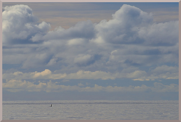 Sea Room DSC_5283