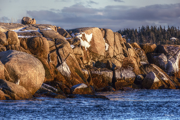 Face of the Granite Coast for web DSC_6141
