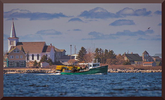 Back Bay Lobstering w sig-bord DSC_8616