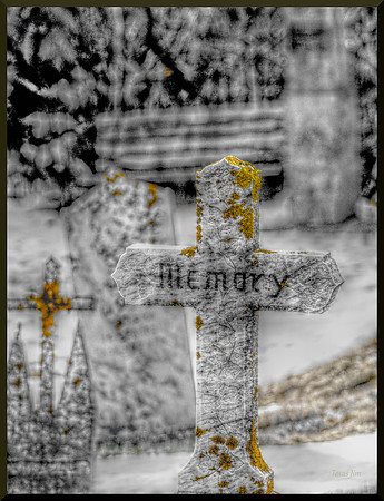 In Memory of Memory w sig-border DSC_6467