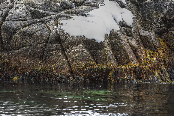 The Blessing of a Granite Shore DSC_6804