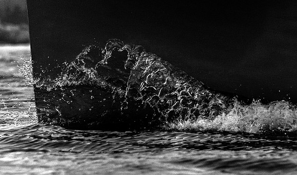 Bow Wave 2 DSC_6720