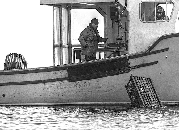 Hauling In DSC_6419