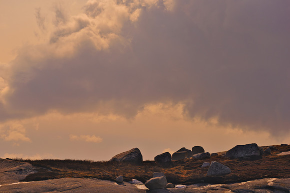 Field of Stones DSC_6865