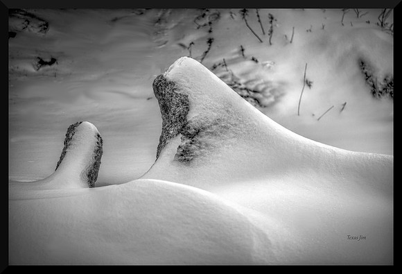 Softly DSC_4086