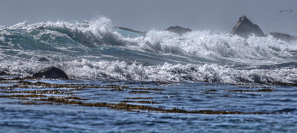 No Passage DSC_7301
