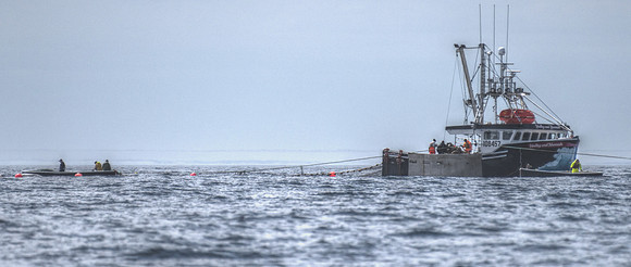 Working Offshore DSC_7476_01