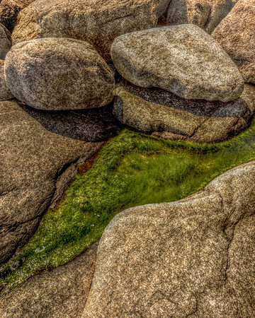 Tidal Pool for web DSC_6816
