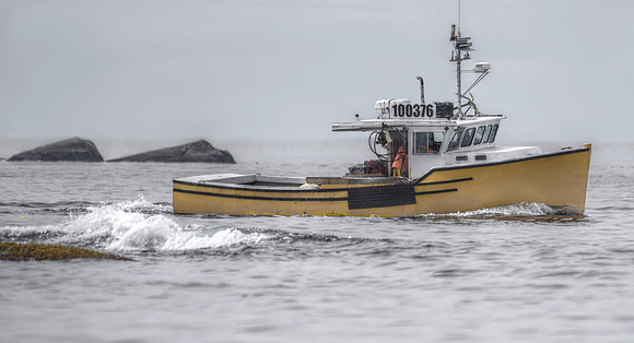 Yellow Lobsterboat 100376