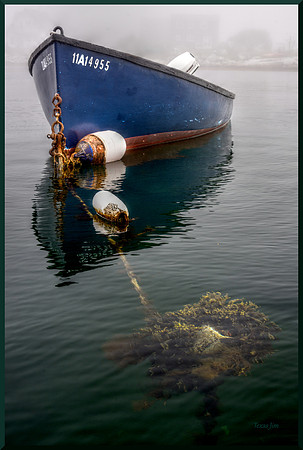 Old Mooring w sig-bord DSC_7784