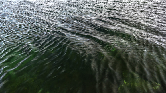 Shallows DSC_7656