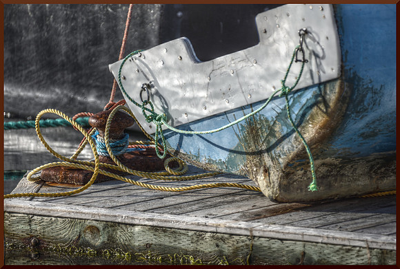 Stern DSC_7974