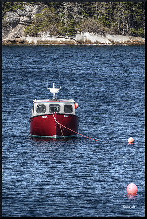 Sitting Pretty in Shad Bay DSC_8054