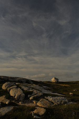 Erratic w sig DSC_1916