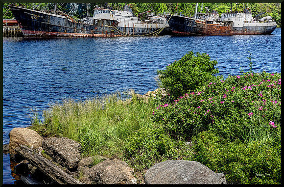 Raft-Up on the LaHave w sig-bord for web DSC_8108