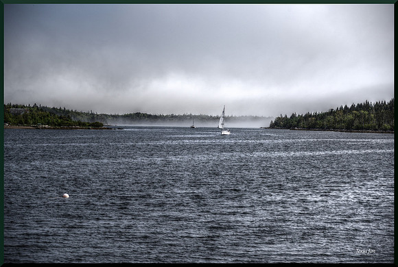 Coming In Out of the Fog w sig-bord for web DSC_8110