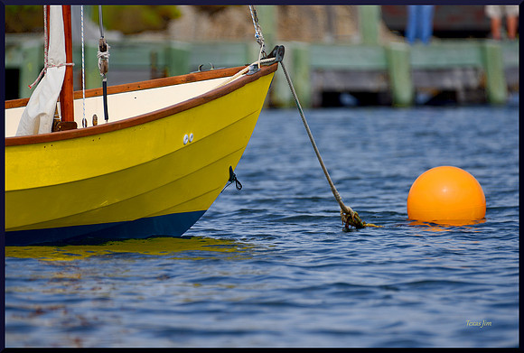 Scott's Boat w sig-bord DSC_8230