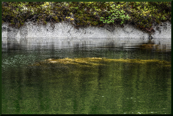 Granite Coast Greenery for web DSC_8146