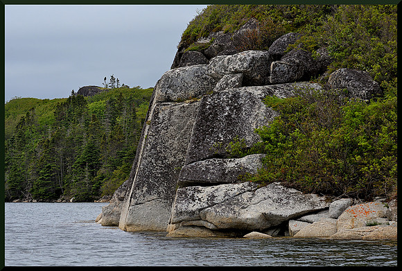 Nova Scotia Strong DSC_8156