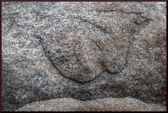 Face in the Stone w sig-bord DSC_8495