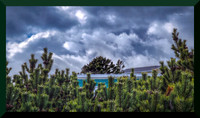 Treetops and Rooftops_upscale