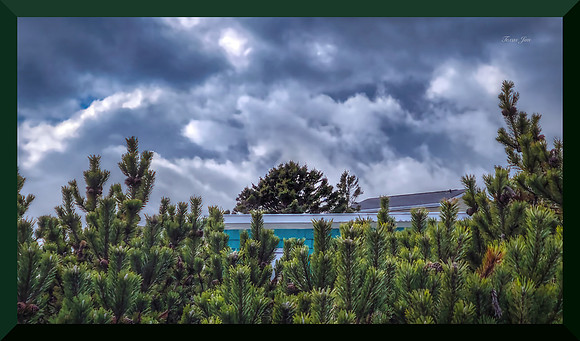 Treetops and Rooftops_upscale