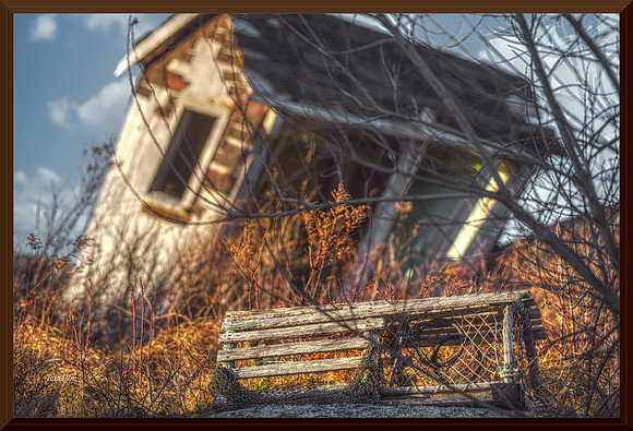 Abandoned Shed and Lobster Trap for web DSC_4128