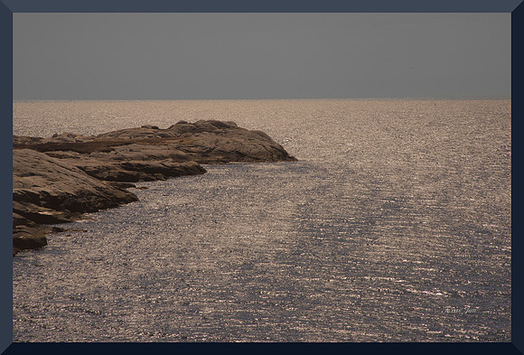 Shining Sea DSC_8713